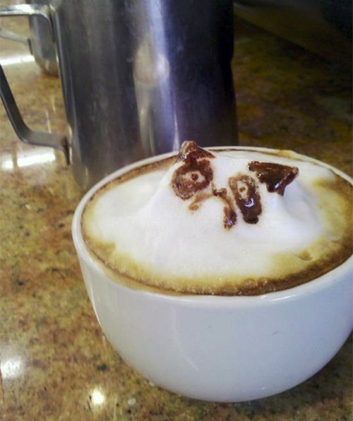 Grumpy cat latte